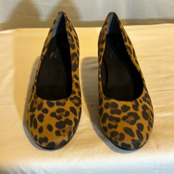 AEROSOLES Shoes - Aerosols leopard print pumps